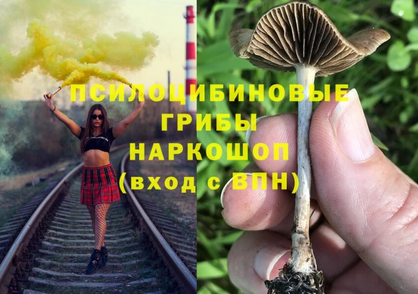 экстази Арсеньев