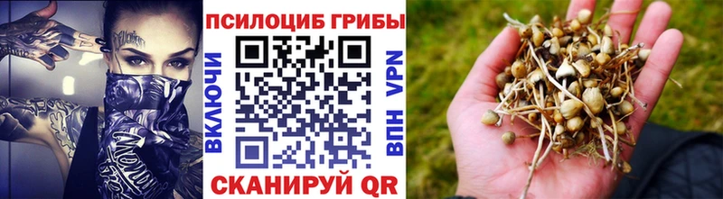 Псилоцибиновые грибы мухоморы  MEGA ссылки  Удачный 